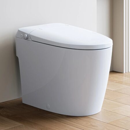 Horow T30 Non Electric Bidet Toilet 1